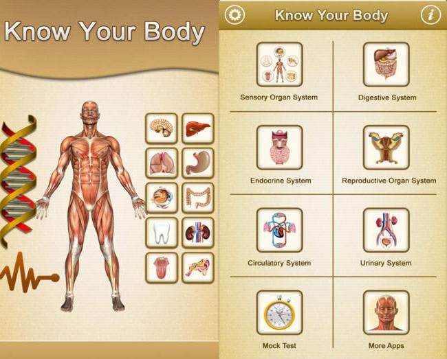 know your body cung cấp thông tin về các bộ phận trong cơ thể người